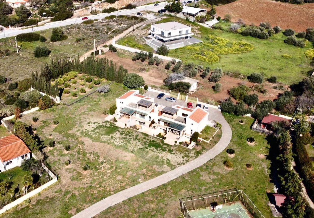 Legrena Beach Villa 수니언 외부 사진