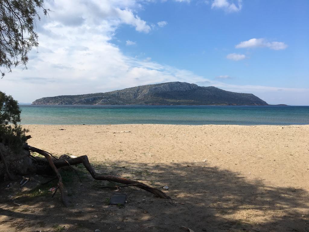 Legrena Beach Villa 수니언 외부 사진